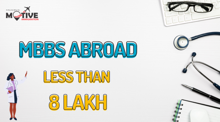 mbbs abroad less than 8 lakh
